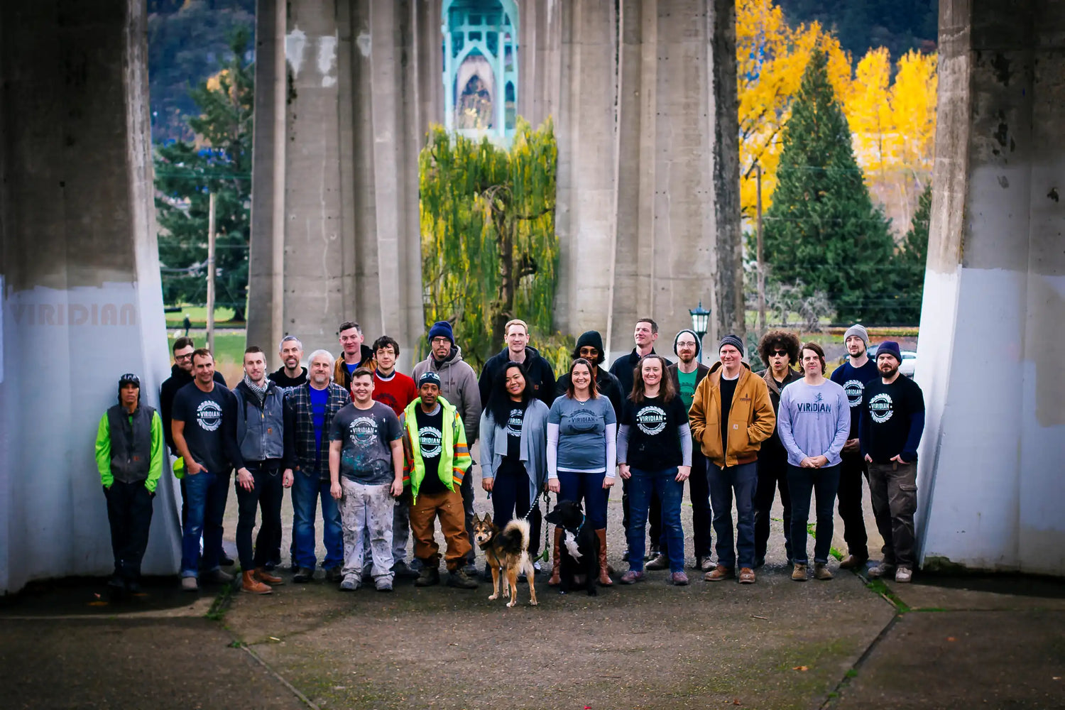 Team Staff at WD Walls sustainable wood paneling plank accent wall materials